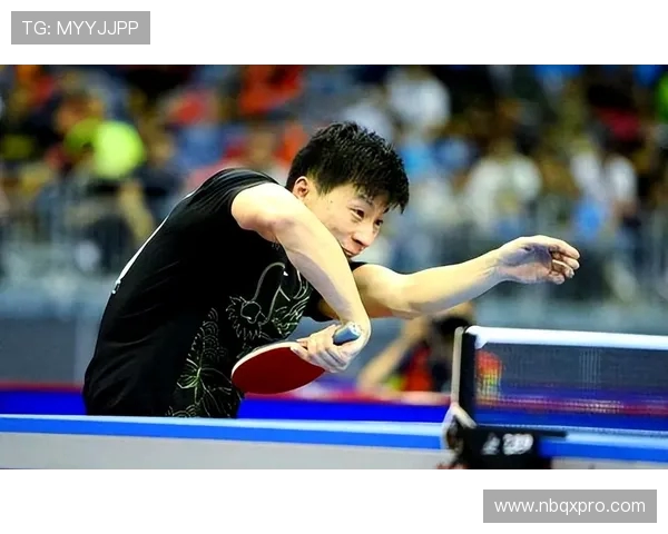 乒乓球运动的历史发展与技术革新探索及其对全球体育文化的影响